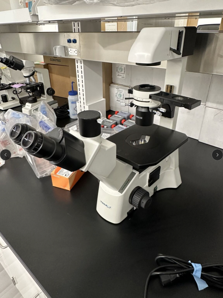 Image of VWR VistaVision Inverted Binocular Microscope